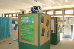 ようこそ父島へ！