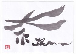 和遊字と写真のコラボ展「時々空(じくう)」