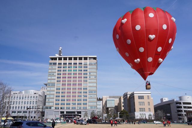 「いちご王国・栃木の日」記念イベント（一般社団法人 宇都宮観光コンベンション協会）