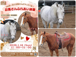 〜weほーるにお馬さんがやってくる！〜お馬さんふれあい体験