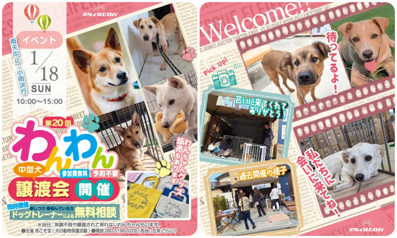 第20回 わんわん譲渡会