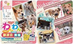 第20回 わんわん譲渡会