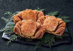 「【関東】2026年1月17日・18日に開催のグルメイベント・フェス12選　冬の味覚満喫！」の写真