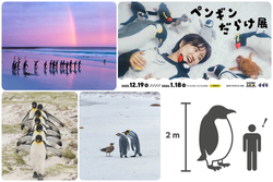 「【渋谷・原宿・代官山周辺】2026年1月17・18日の週末に楽しめるイベント16選　無料も」の写真