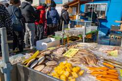 「【大阪】振る舞い牡蠣汁も！泉南で牡蠣まつり開催。親子で楽しむワークショップも」の写真