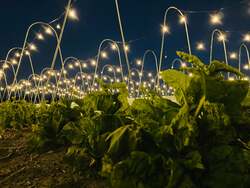 「【京都】夜の畑で京野菜を収穫！星空鍋や月面VRも楽しめる宇宙体験イベントが開催」の写真