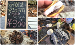 焚火＆焼きマシュマロ体験／ご予約無用、その場で随時受付★ 他の遊びの合間にサッと受付、サッと焼いて楽しめるから、超お手軽！ （一度にご体験できるのは４組様なので、混んでいるときは受付順にご案内いたします）