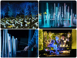 Moonlight Rose Garden2025〜灯りと光のまほうにかかる時間（とき）ウィンターイルミネイト