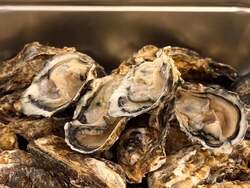 「熊谷駅直結！屋上で産直カキ食べ放題「かき太鼓」オープン。ストーブ完備で親子も安心」の写真