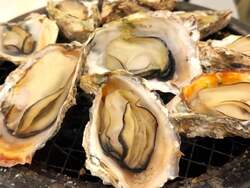 「熊谷駅直結！屋上で産直カキ食べ放題「かき太鼓」オープン。ストーブ完備で親子も安心」の写真