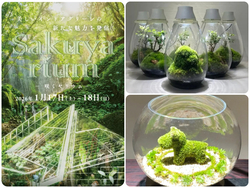 Sakuyarium ー咲くやリウムー