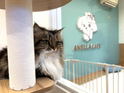 「【東海】2026年2月におすすめ！親子向けおでかけ先＆イベントまとめ」の写真