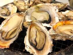 「ぷりぷり食感と濃厚な旨みがたまらない！関東の牡蠣小屋まとめ　食べ放題＆海鮮BBQも」の写真