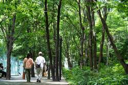 「入場無料！大手町駅直結の森で「焼き芋フェス」開催　16店舗の絶品お芋＆スイーツも！」の写真