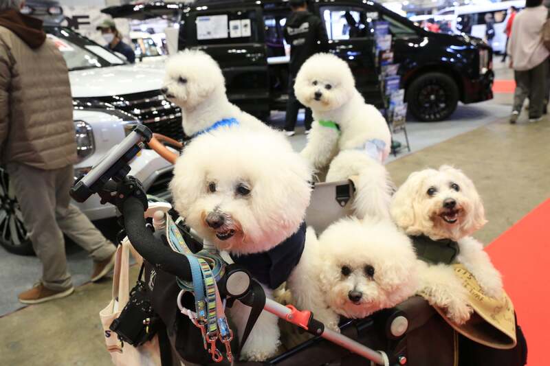 ペットとの入場OK