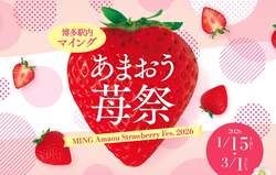 「90種以上のあまおう苺商品が大集合！博多駅でフェア開催　スイーツ&ドリンク、雑貨も」の写真