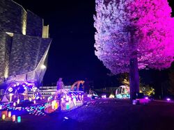 「【所沢市】2026年1月17日・18日の今週末に楽しめるイベント8選　無料イベントも！」の写真