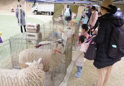 「川崎のゴルフ場が無料開放！芝すべりや動物園、音楽ライブやキッチンカーグルメも！」の写真
