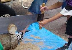 引きノコギリ体験