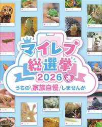 「未就学児は無料！150社が集結する日本最大級の“爬虫類祭”がインテックス大阪で開幕」の写真