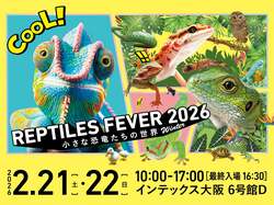 「未就学児は無料！150社が集結する日本最大級の“爬虫類祭”がインテックス大阪で開幕」の写真