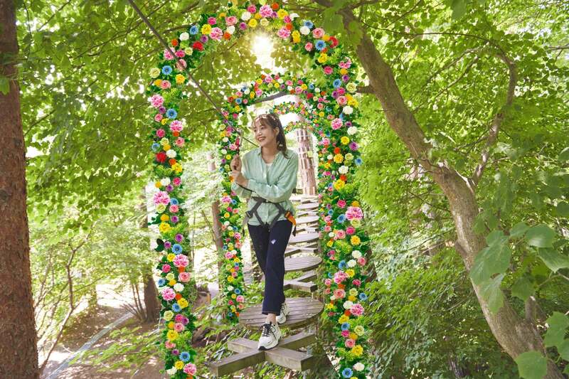 花咲く森の空中散歩