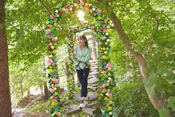 花咲く森の空中散歩