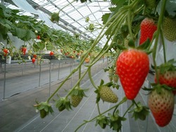 「【関西】2026年2月におすすめ！親子向けおでかけ先＆イベントまとめ」の写真