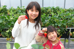 「【関西】2026年2月におすすめ！親子向けおでかけ先＆イベントまとめ」の写真