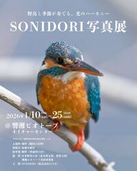 SONIDORI写真展