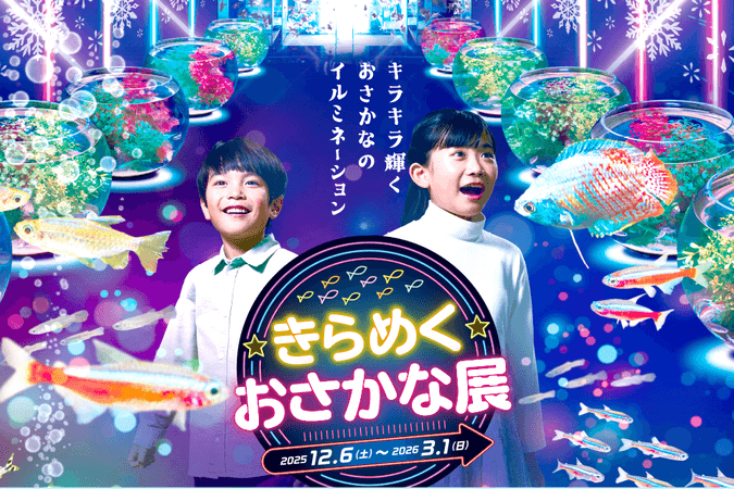 きらめくおさかな展