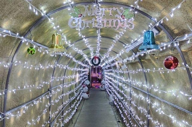 光の鍾乳洞│（一社）長崎県観光連盟