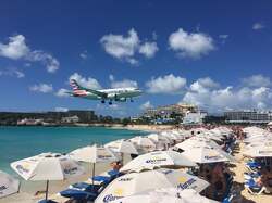 「入場無料！カリブ・ラテン文化を親子で体験　代々木・隅田公園・上野で野外フェス開催」の写真