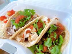 「入場無料！カリブ・ラテン文化を親子で体験　代々木・隅田公園・上野で野外フェス開催」の写真