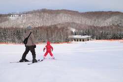 「ファミリーゲレンデ」1/15（木）より全面オープン！