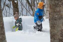 「国内最大級200ｍを滑走！札幌・滝野スノーワールドで無料のチューブそりがオープン」の写真