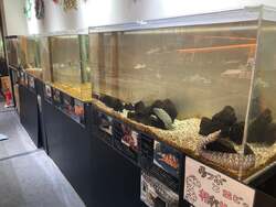 ※写真はイメージです