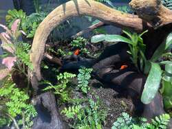 テラリウム(写真はイメージです)