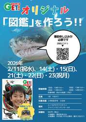 オリジナル図鑑作成