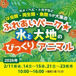 「リクガメに餌やり&ヘビの抱っこも！ところざわサクラタウンで驚きの生き物体験」の写真