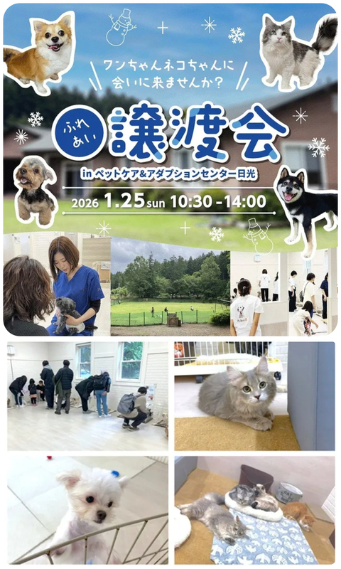 ふれあい譲渡会 in ペットケア＆アダプションセンター日光