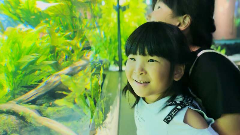 小さな子供も楽しめるカワスイ