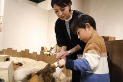 ふれあいのイメージ