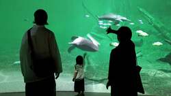 「2026年2月は幼児の入館料が500円！川崎駅直結の水族館カワスイで限定イベント開催」の写真