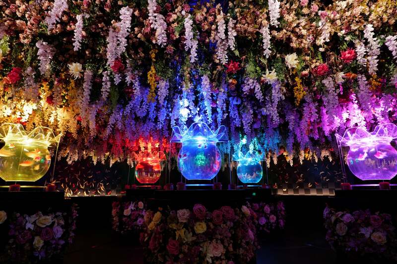 常設施設「アートアクアリウム美術館 GINZA」東京都中央区