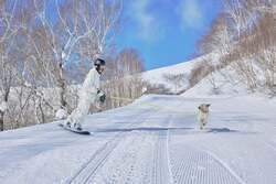 わんスノーライド4200