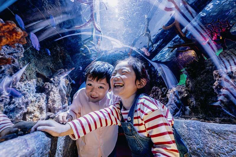 名古屋シーライフ水族館の風景