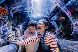 名古屋シーライフ水族館の風景