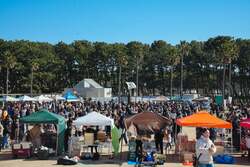 「焼きたての香りに包まれて青空の下でピクニック　湘南パン祭りでパン食い競争に挑戦も」の写真
