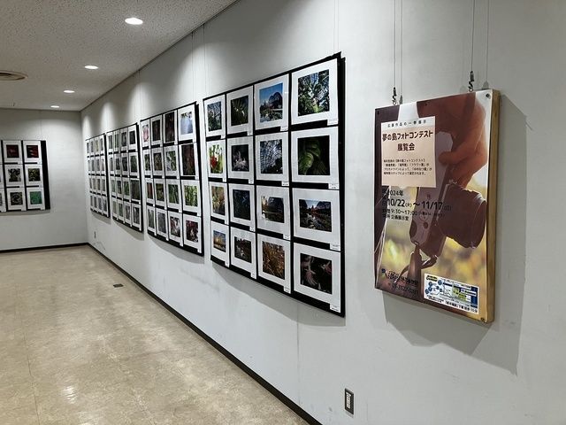 過去の展示の様子